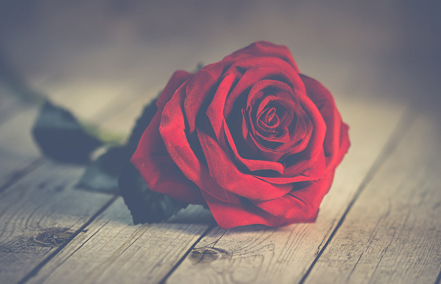 Valentine’s Day Gifts for That Special Someone