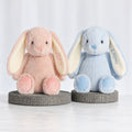 Two personalised plush bunnies, one pink and one blue, each embroidered with a name
