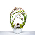 Calla Halo arrangement of white calla lilies with looped grasses in a white footed bowl