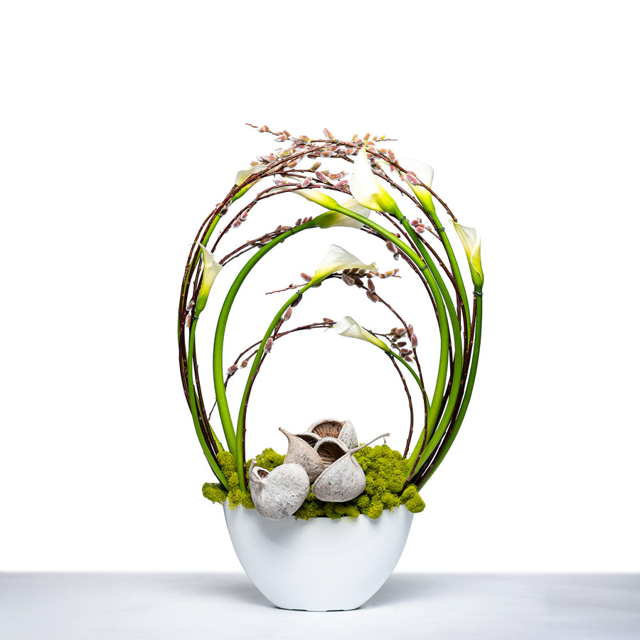 Calla Halo arrangement of white calla lilies with looped grasses in a white footed bowl