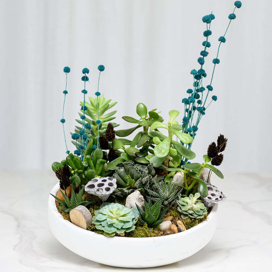 Dream Garden succulent arrangement with stones and dried accents in a white ceramic bowl