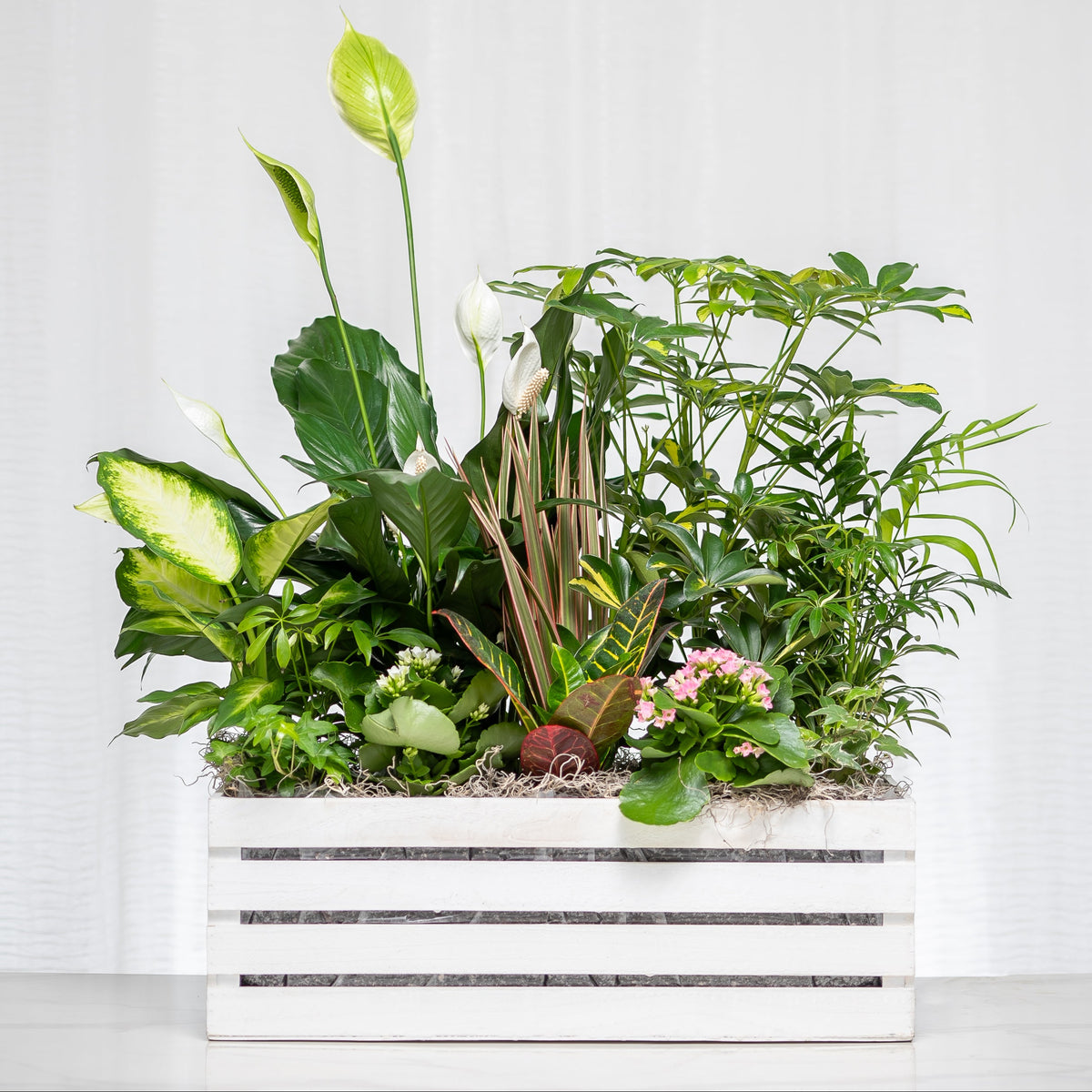 Flora and Fauna mixed green plant arrangement in a white slatted wooden planter
