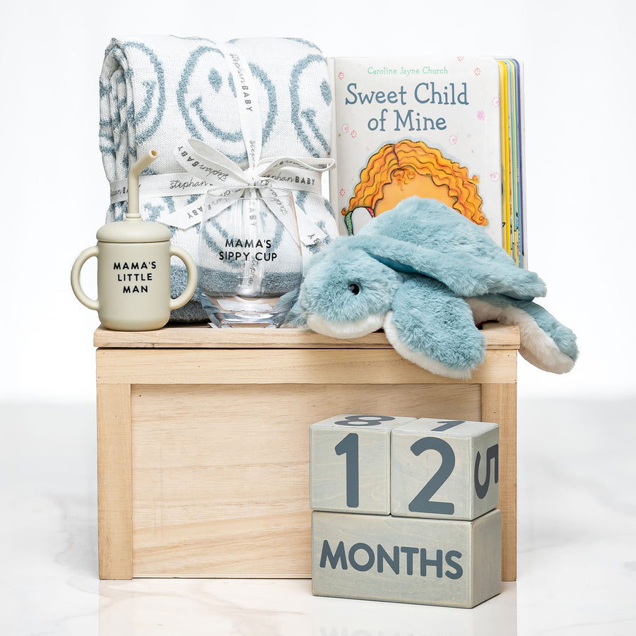 Milestone Moments baby boy gift with a blue plush bunny, a blanket, milestone blocks and a book