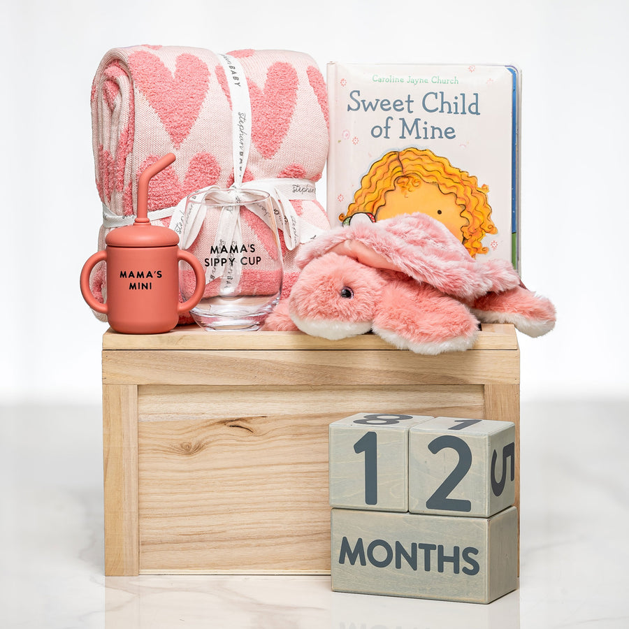 Milestone Moments baby girl gift with a pink plush bunny, a blanket, milestone blocks and a book