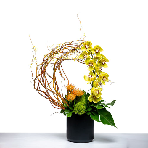 Orchid Curved arrangement of yellow orchids and chrysanthemums with a willow ring in a black pot