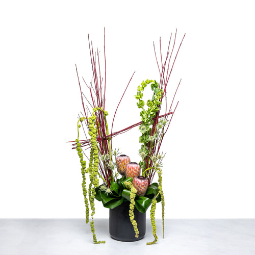 Protea Refined arrangement of protea, amaranthus and tall branches in a black pot
