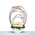 Sculpted Willow arrangement of white roses within a curved willow frame in a white bowl