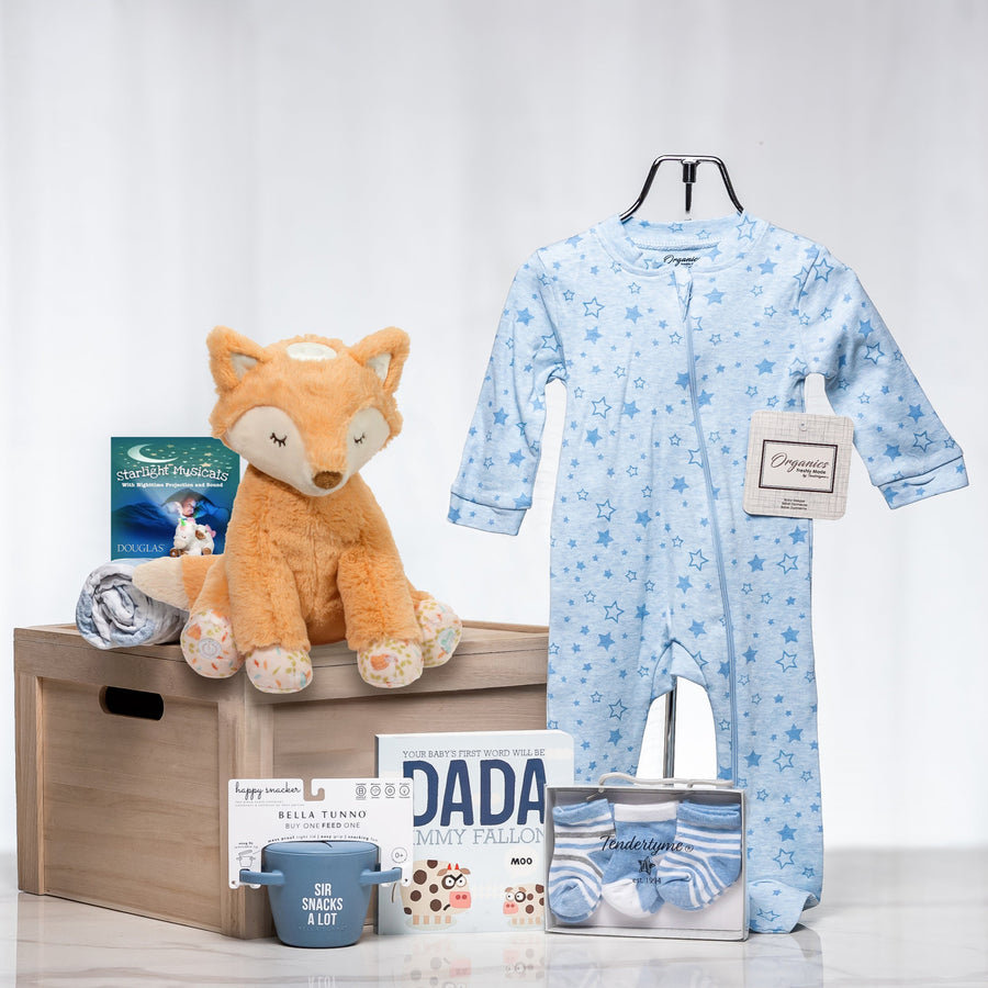 Starlight Snuggles baby boy gift with a blue star print sleepsuit, a plush fox and the book Dada