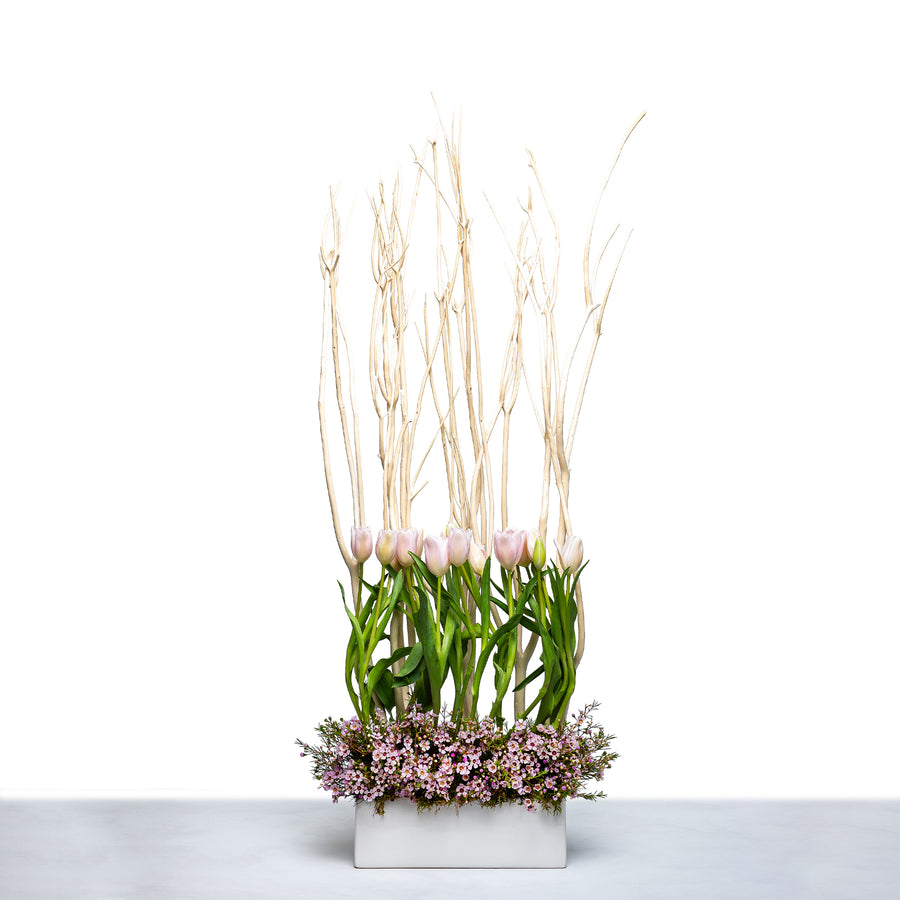 Tulip Garden arrangement of pink tulips with tall grasses and blossom in a white trough