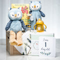 Welcome Little Hoot baby gift with two plush owls, a blanket, keepsake book and milestone card