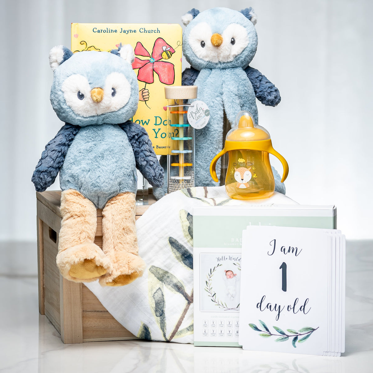 Welcome Little Hoot baby gift with two plush owls, a blanket, keepsake book and milestone card