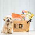 Fetch dog gift tote filled with treats and chews, shown with a small dog