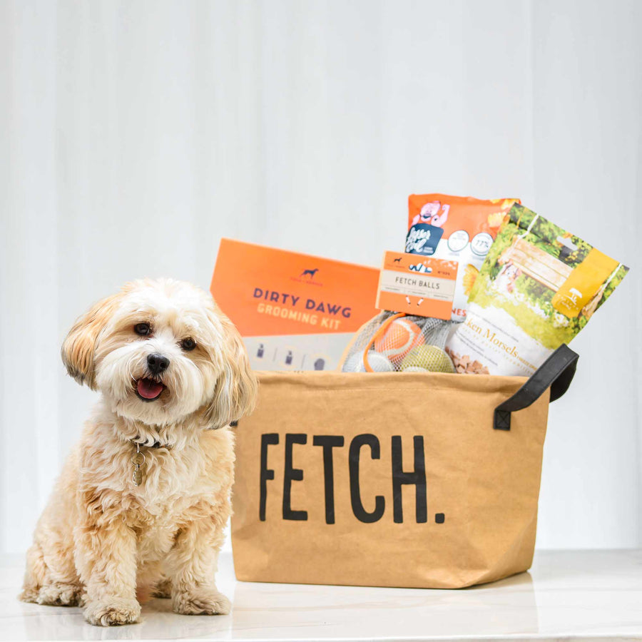 Fetch dog gift tote filled with treats and chews, shown with a small dog