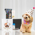 Paw-ty Pup dog birthday gift set with treats and a party hat, shown with a small dog in a bandana