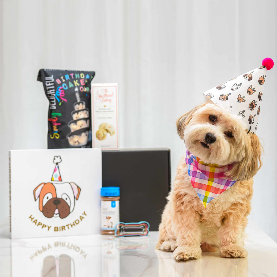 Paw-ty Pup dog birthday gift set with treats and a party hat, shown with a small dog in a bandana