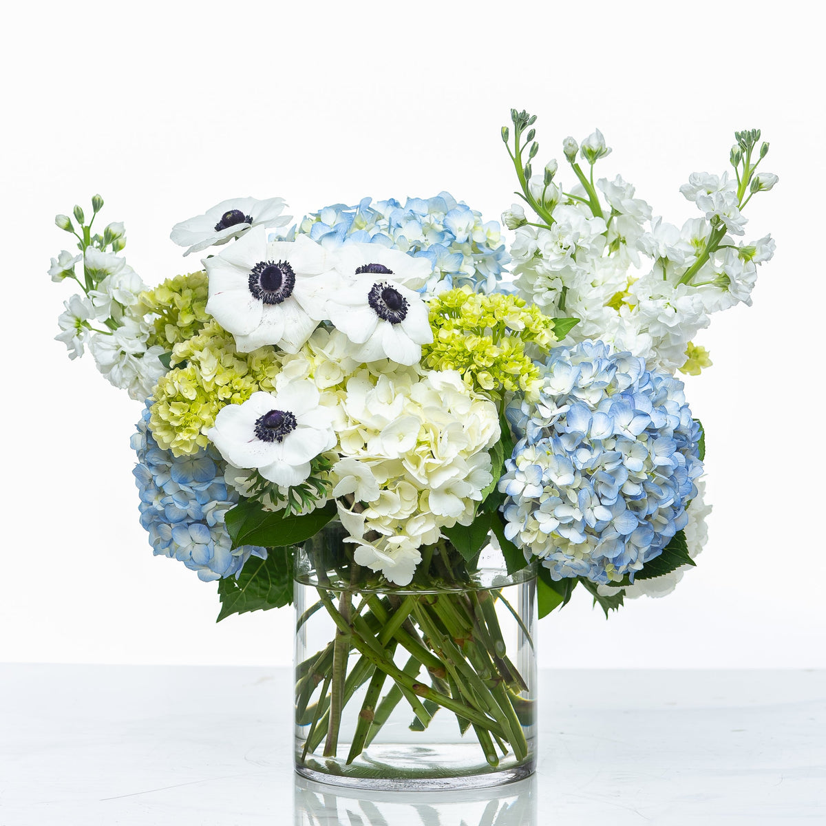 Azure arrangement of blue hydrangea, white anemones and stock in a clear glass vase