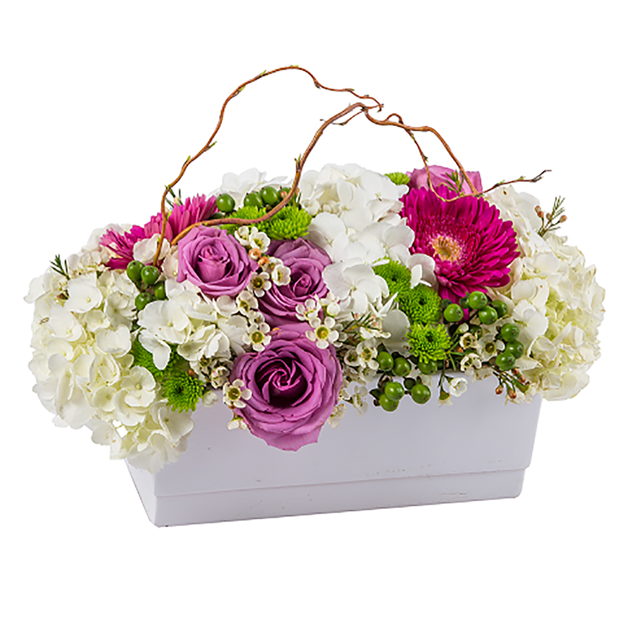 Divine Planter