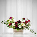 Vibrations floral arrangement of burgundy and white roses with greenery in a cream ceramic pot