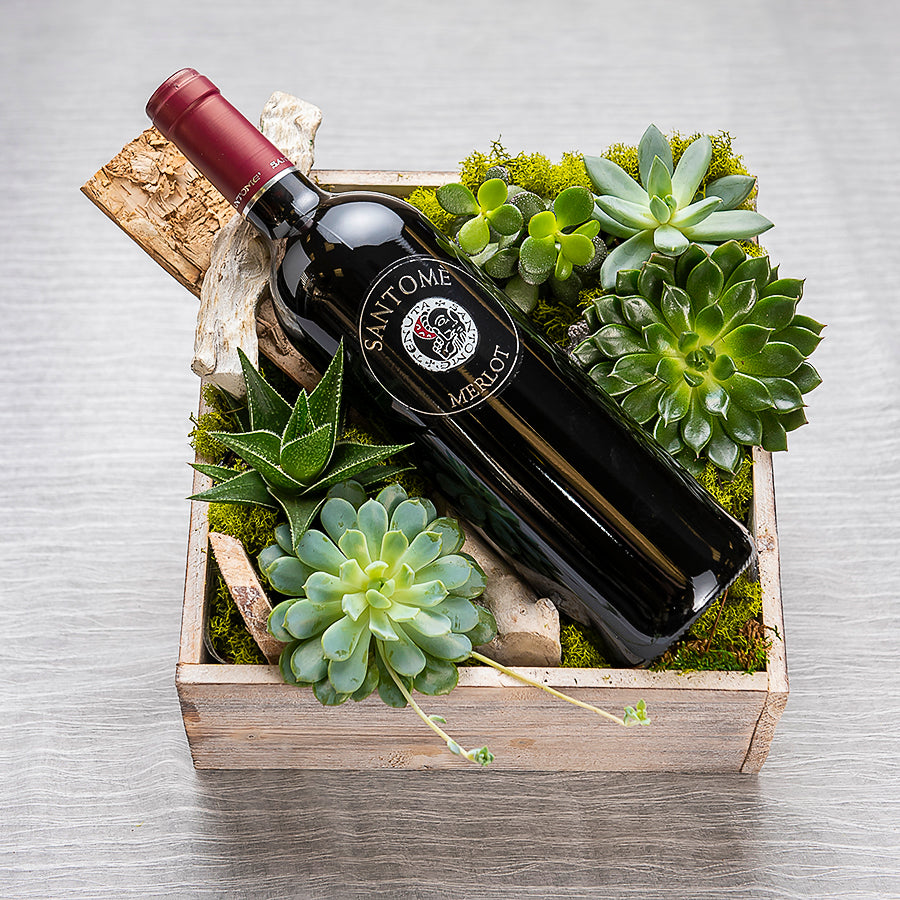 Wine and Succulent Box